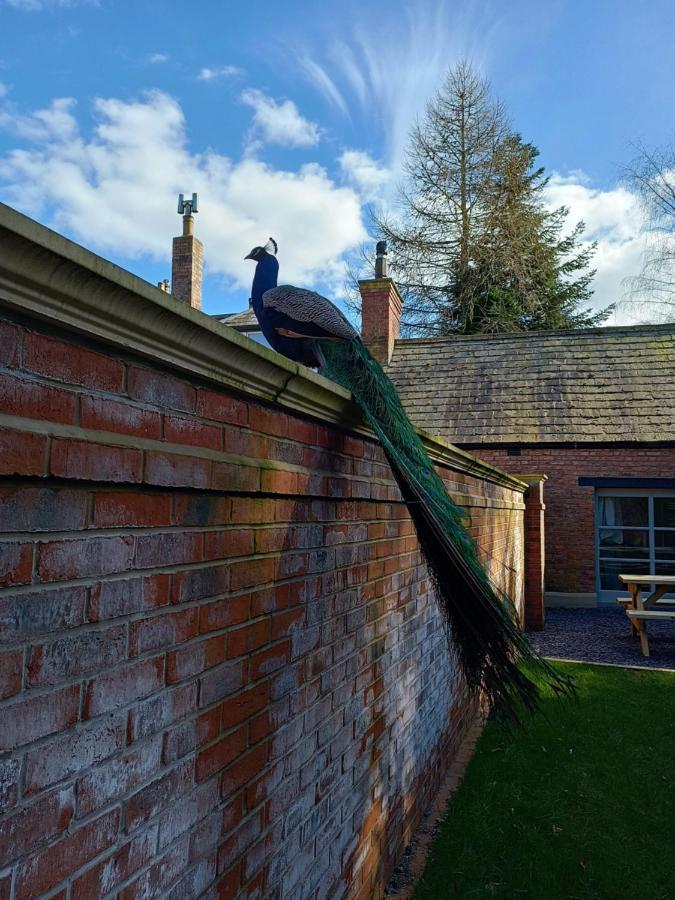 The West Wing At Eriviat Hall Hot Tub Henllan  Экстерьер фото
